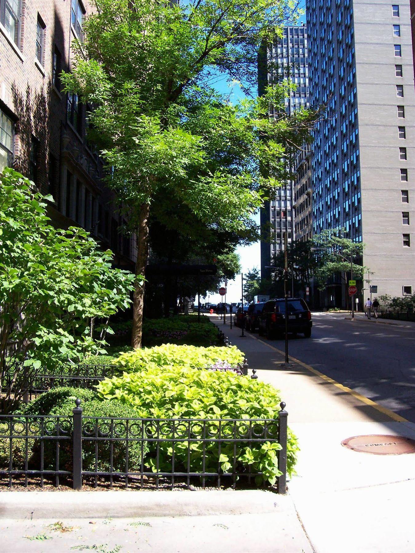 Dewitt Hotel And Suites Chicago Exteriér fotografie